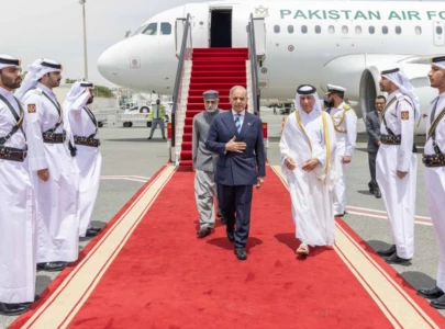 pm shehbaz expresses solidarity with qatari amir urges de escalation dialogue for regional peace