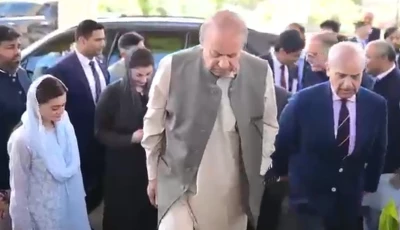 prime minister shehbaz sharif and pml n supremo nawaz sharif screengrab