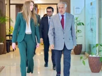 foreign minister ishaq dar meets with british high commissioner jane marriott photo mofa x