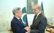 chinese ambassador praises pakistan s diplomatic efforts for peace in meeting with pm shehbaz
