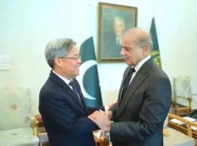chinese ambassador praises pakistan s diplomatic efforts for peace in meeting with pm shehbaz