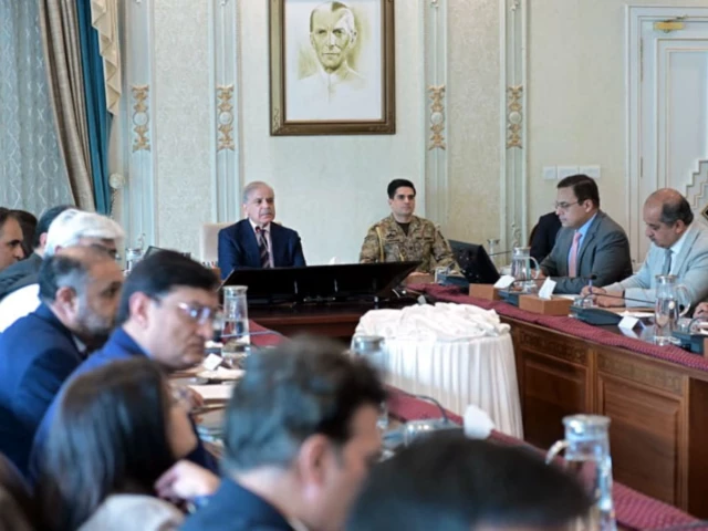 PM Shehbaz directs investor facilitation, regulatory reforms to boost exports