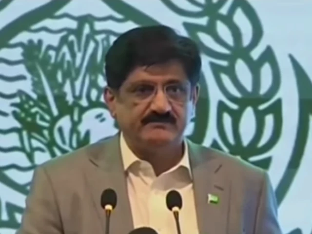 sindh chief minister murad ali shah speaking at a ceremony marking the first anniversary of marka e haq in karachi screengrab sindh chief minister murad ali shah speaking at a ceremony marking the first anniversary of marka e haq in karachi screengrab
