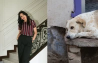 screengrab of zhalay sarhadi and stray dog instagram