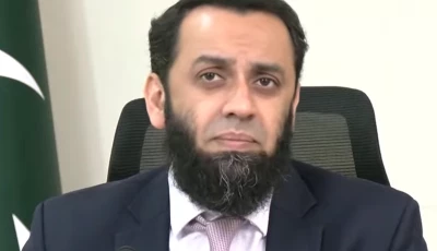 information minister attaullah tarar addressing a media briefing screengrab
