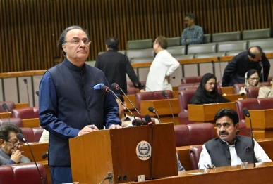 finance minister muhammad auranzgeb presenting demands for grants under budget fy26 27 at the national assembly photo na facebook