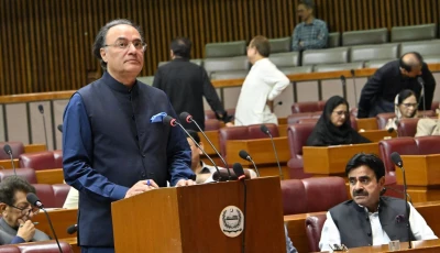 finance minister muhammad auranzgeb presenting demands for grants under budget fy26 27 at the national assembly photo na facebook