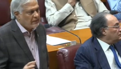 deputy prime minister and foreign minister ishaq dar addressing the national assembly screengrab