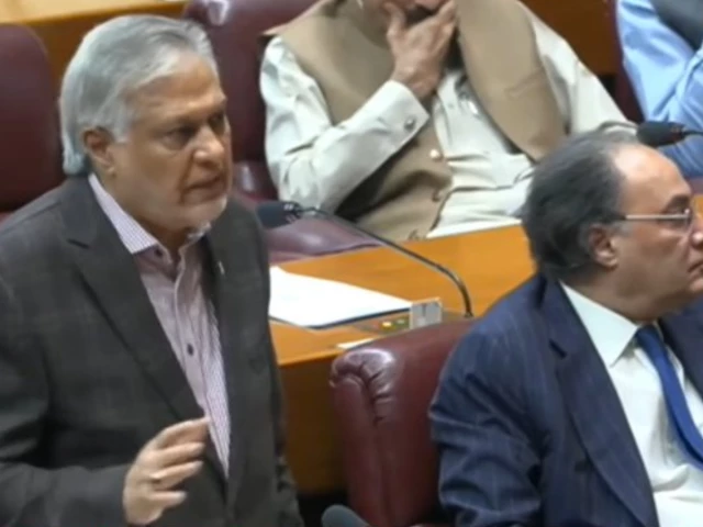 deputy prime minister and foreign minister ishaq dar addressing the national assembly screengrab deputy prime minister and foreign minister ishaq dar addressing the national assembly screengrab