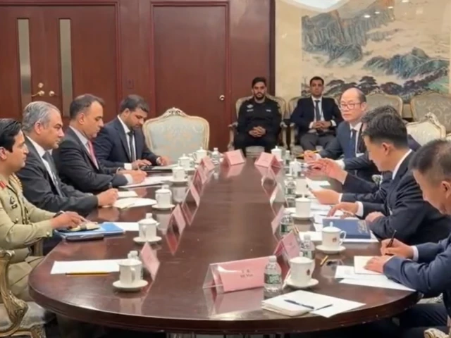 Naqvi, Chinese minister pledge closer counterterrorism cooperation