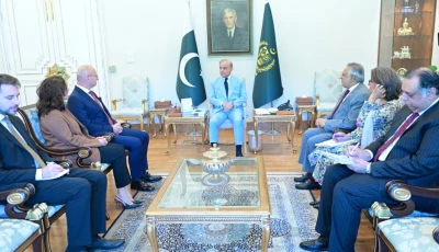 croatian minister for foreign and european affairs grli radman calls on prime minister shehbaz sharif in islamabad photo pmo