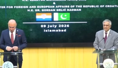 deputy prime minister and foreign minister ishaq dar and croatian minister of foreign and european affairs gordan grli radman speaking at a joint press briefing in islamabad screengrab deputy prime minister and foreign minister ishaq dar and croatian minister of foreign and european affairs gordan grli radman speaking at a joint press briefing in islamabad screengrab