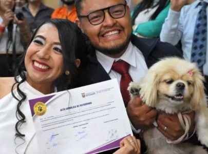 till death do us bark pets serve as witnesses at ecuador weddings till death do us bark pets serve as witnesses at ecuador weddings