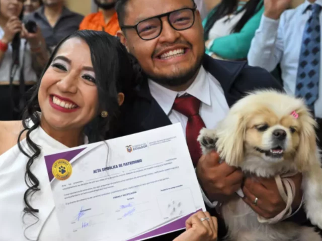 diana tupiza and andres alquinga pose with their dog luna who served as a witness at their civil wedding photo afp diana tupiza and andres alquinga pose with their dog luna who served as a witness at their civil wedding photo afp