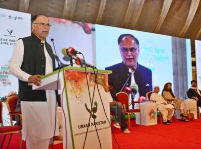 pakistan in talks with netflix as govt plans homegrown streaming platform pakistan in talks with netflix as govt plans homegrown streaming platform