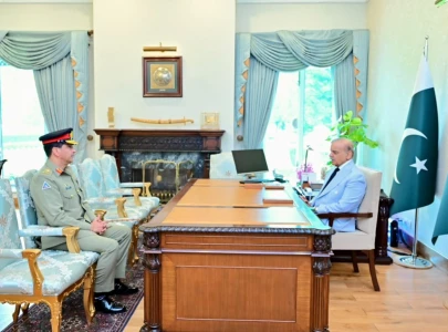 pm shehbaz appoints general aamer raza as commander national strategic command