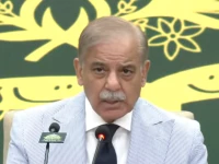 prime minister shehbaz sharif addressing participants at the balochistan national workshop in islamabad screengrab
