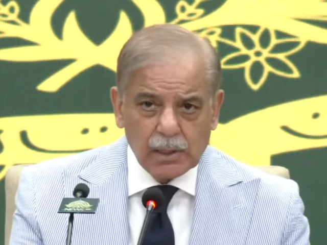 prime minister shehbaz sharif addressing participants at the balochistan national workshop in islamabad screengrab prime minister shehbaz sharif addressing participants at the balochistan national workshop in islamabad screengrab