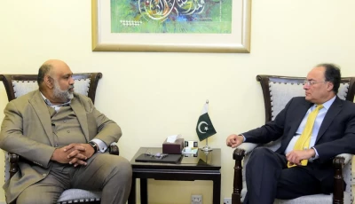 finance minister muhammad auranzgeb meets with pakistan digital authority pda chairperson dr sohail munir in islamabad photo x