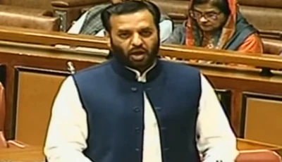 health minister mustafa kamal speaking in the senate screengrab
