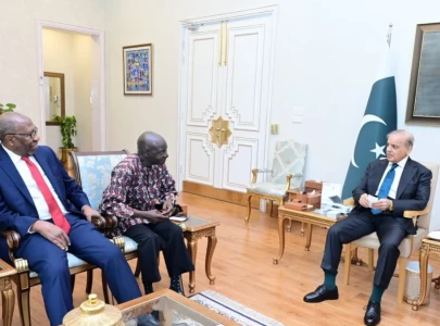 pm shehbaz reaffirms pakistan s support for multilateralism in meeting with un chief candidate