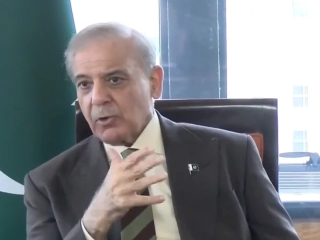 PM Shehbaz invites US businesses to invest in country's agriculture, mining, IT, AI