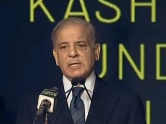 prime minister shehbaz sharif addresses the groundbreaking ceremony of the kashmir chowk underpass in islamabad on tuesday screengrab prime minister shehbaz sharif addresses the groundbreaking ceremony of the kashmir chowk underpass in islamabad on tuesday screengrab
