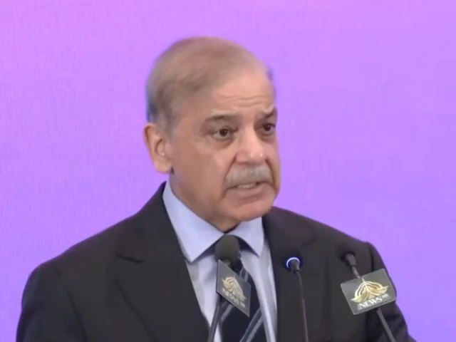 prime minister shehbaz sharif speaks during the inauguration ceremony of the danish it park in islamabad on saturday screengrab prime minister shehbaz sharif speaks during the inauguration ceremony of the danish it park in islamabad on saturday screengrab