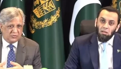 law minister azam nazeer tarar and information minister attaullah tarar speak at a press briefing for foreign correspondents in islamabad screengrab