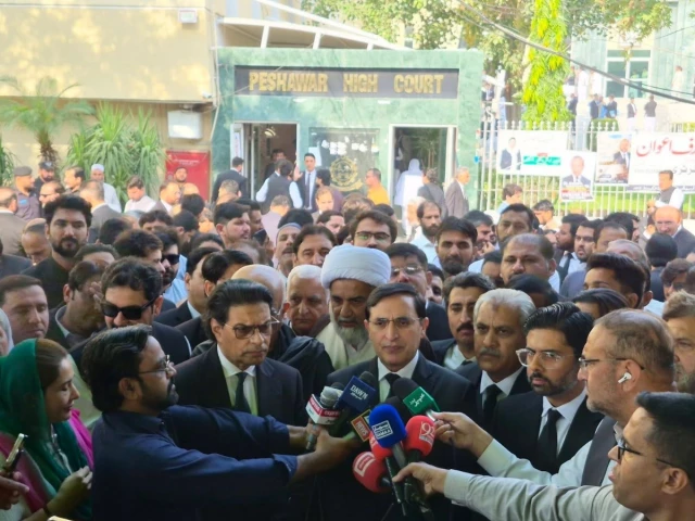 pti leaders speak to the media outside the peshawar high court phc on tuesday photo goharalikhan x pti leaders speak to the media outside the peshawar high court phc on tuesday photo goharalikhan x