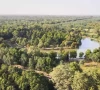 punjab s forest cover now exceeding 1 6 million acres captured in a scenic aerial view photo express punjab s forest cover now exceeding 1 6 million acres captured in a scenic aerial view photo express