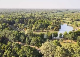 forest vision 2050 to help tackle climate change forest vision 2050 to help tackle climate change