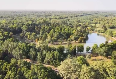 punjab s forest cover now exceeding 1 6 million acres captured in a scenic aerial view photo express