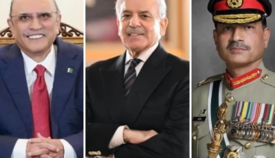 president asif zardari pm shehbaz sharif and field marshal asim munir