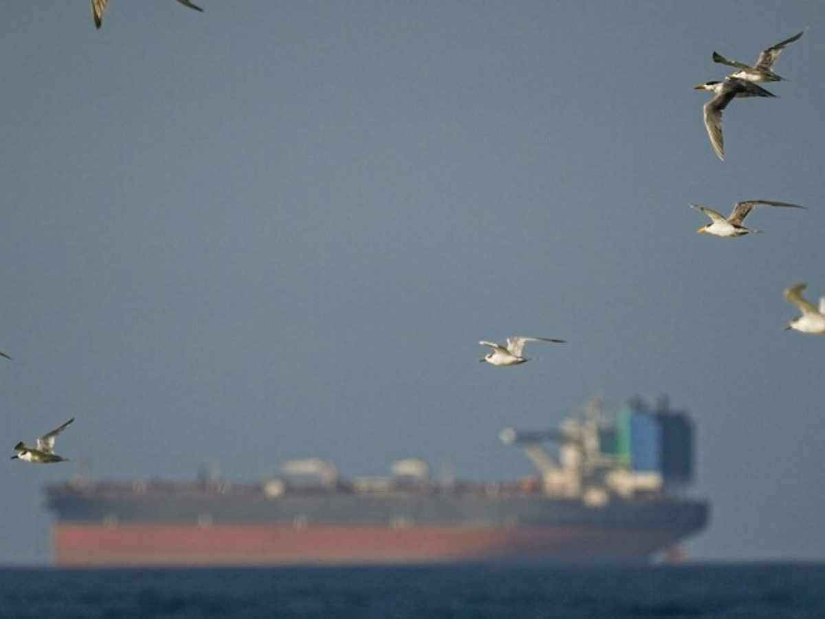 US pushes for coalition to restore shipping through Strait of Hormuz