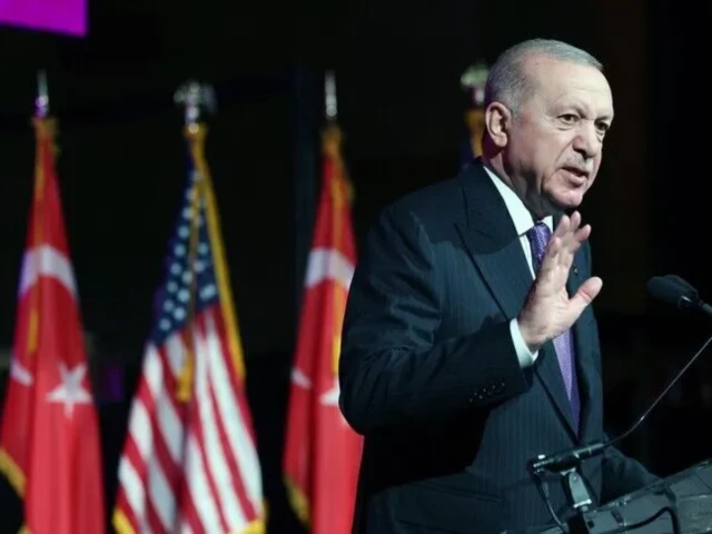 Turkish president calls for UN Security Council reform, end to veto privilege