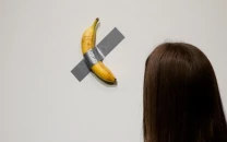french museum reports theft of arty banana