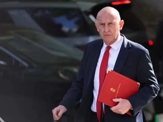 UK defence minister Healey quits, says PM Starmer's plans fail to keep country safe