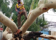 k p rain death toll rises to 18 more rain forecast pdma