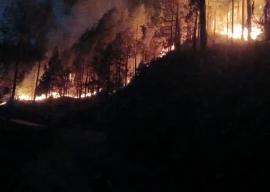 forest fires in punjab swiftly contained by rapid response team