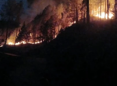 forest fires in punjab swiftly contained by rapid response team forest fires in punjab swiftly contained by rapid response team