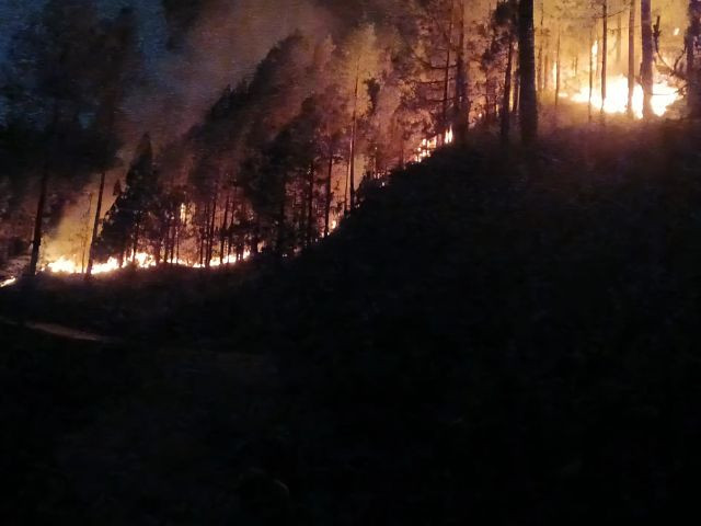 Forest fires in Punjab swiftly contained by rapid response team | The Express Tribune