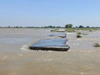 villages submerged and lives uprooted as punjab reels under relentless floods photo express villages submerged and lives uprooted as punjab reels under relentless floods photo express