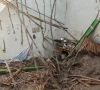 four members of the same family were killed after the roof of their house collapsed during torrential rains in upper south waziristan photo express