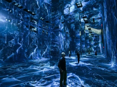 ai museum brings sights sounds and smells of the rainforest
