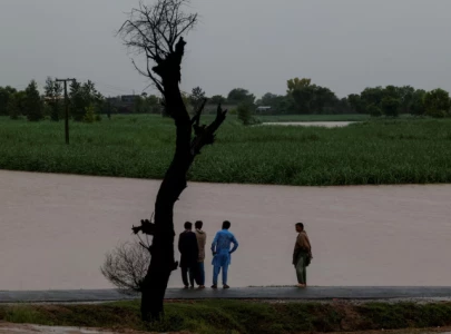 punjab reels from devastating deluge punjab reels from devastating deluge