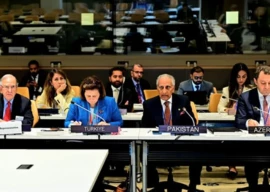 kashmiris right to self rule non negotiable says oic kashmiris right to self rule non negotiable says oic