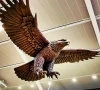 new zealand airport takes down hobbit themed eagle sculpture after 11 years aloft