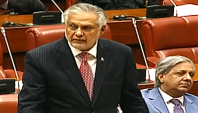 dpm and fm senator ishaq dar addressing the senate screengrab