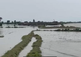 riverine settlements drown as india warns of more floods riverine settlements drown as india warns of more floods